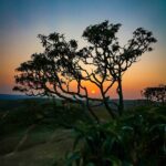 Snapinsta.app_162914731_288106586034338_8916493675623875657_n_1080