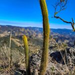 Serra da Bandeira - Taboão