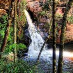 Snapinsta.app_275902147_110385694839210_8085314085899850965_n_1080