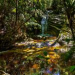 Cachoeira Aricanga RPPN Chapadão Serra Negra