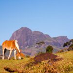 AdobeStock_157437970