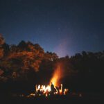 The fire at night. Summer mood