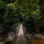 AdobeStock_486526751