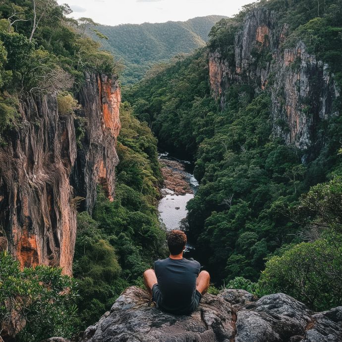 Man on rock above canyon with river, green trees on rocky walls
