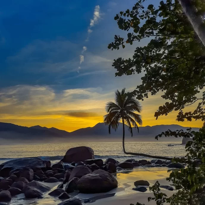 Design-sem-nome-36-min