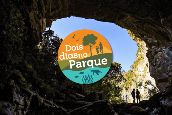 destaquepacote (49)-min